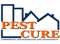 Pest Cure