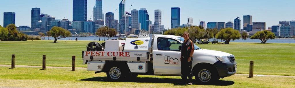 Pest Cure Pest Management services Perth Western Australia